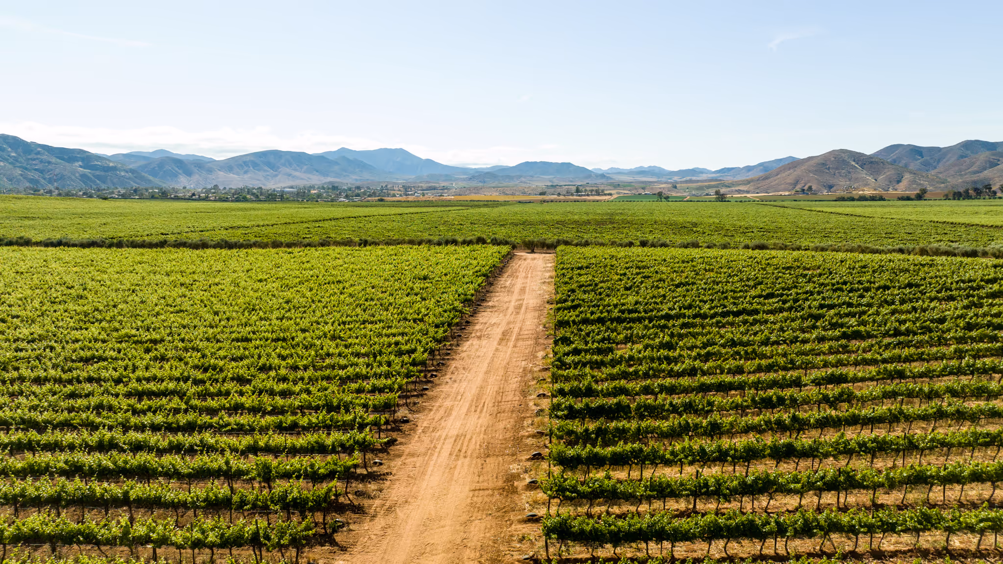 El Valle de Guadalupe
