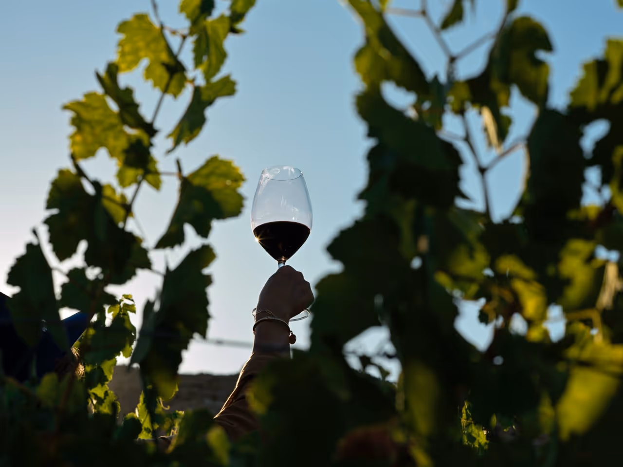 Chica relajada en un Spa Turístico. Rosarito, Baja California