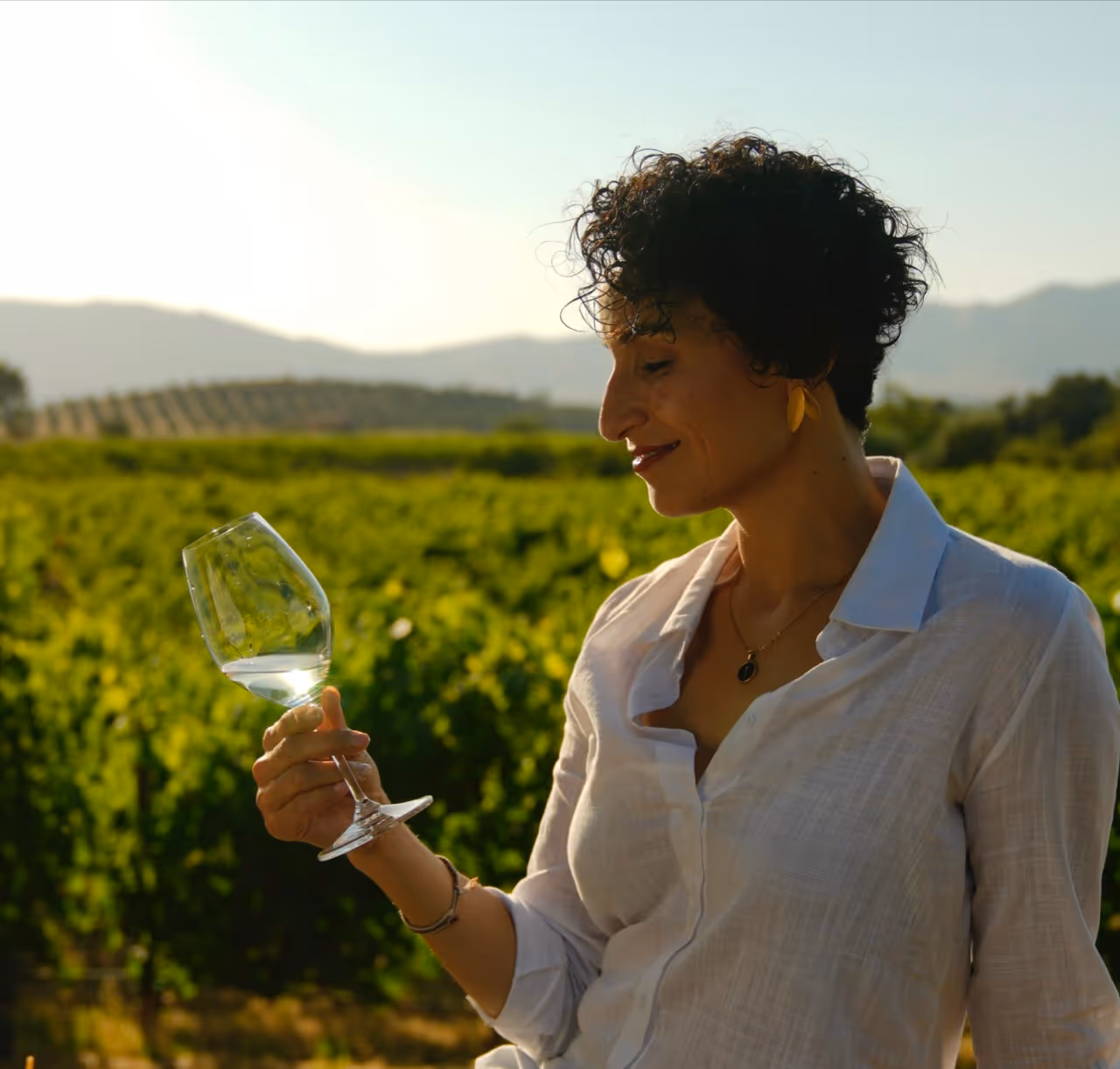 Ruta Wellness Entre Viñedos