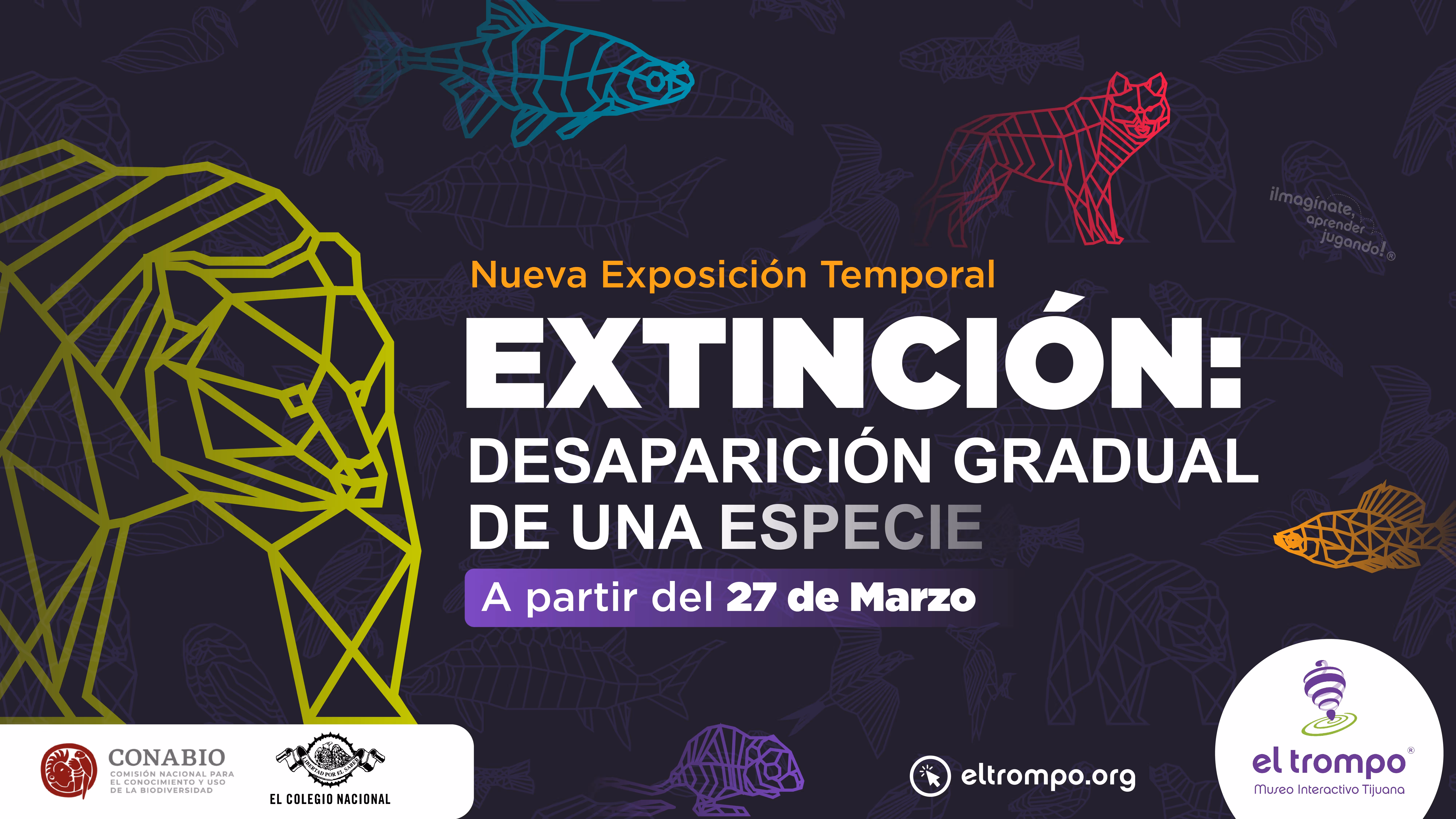 Relaxed girl in a Touristic Spa. Rosarito, Baja California