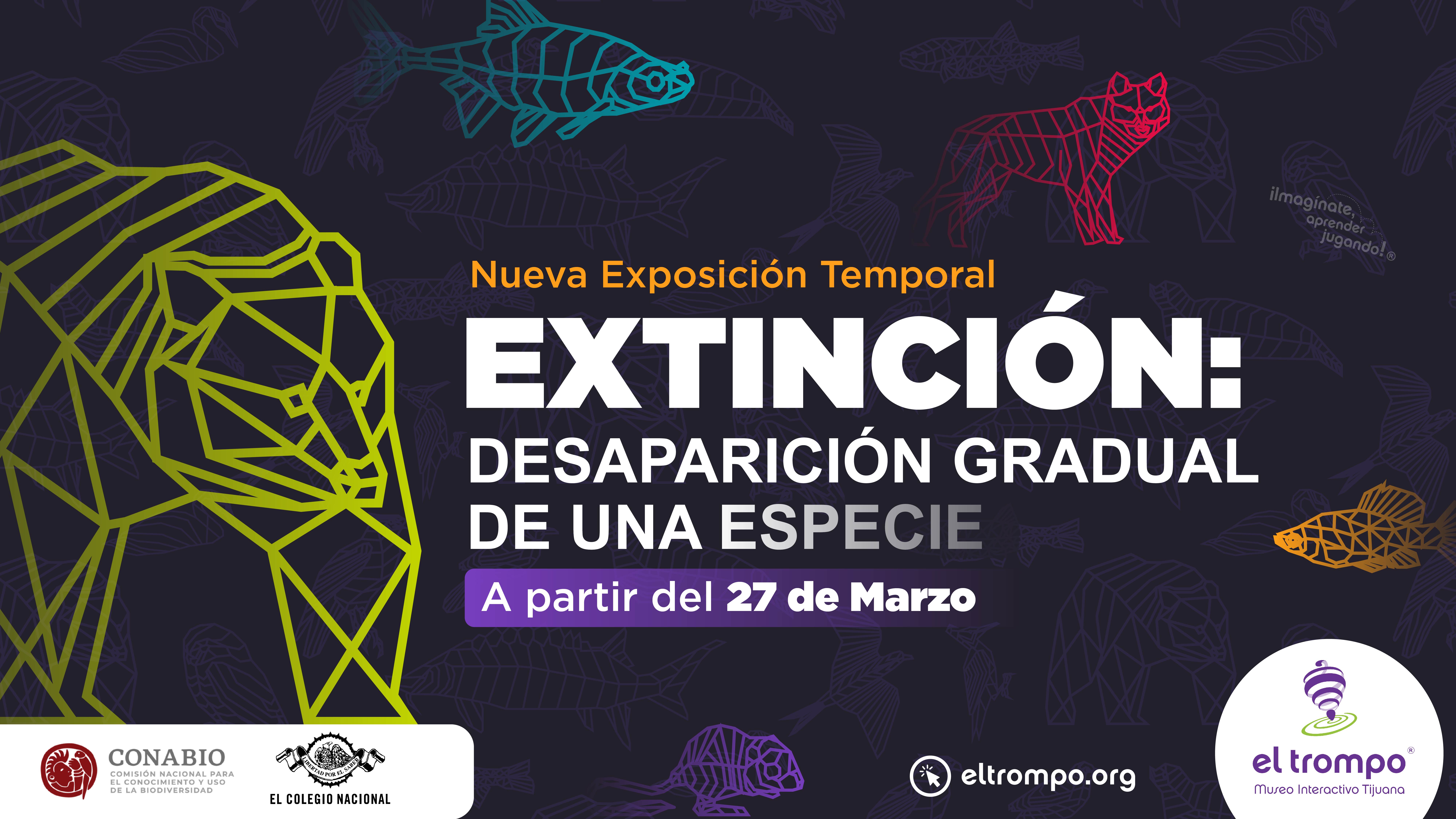 Chica relajada en un Spa Turístico. Rosarito, Baja California