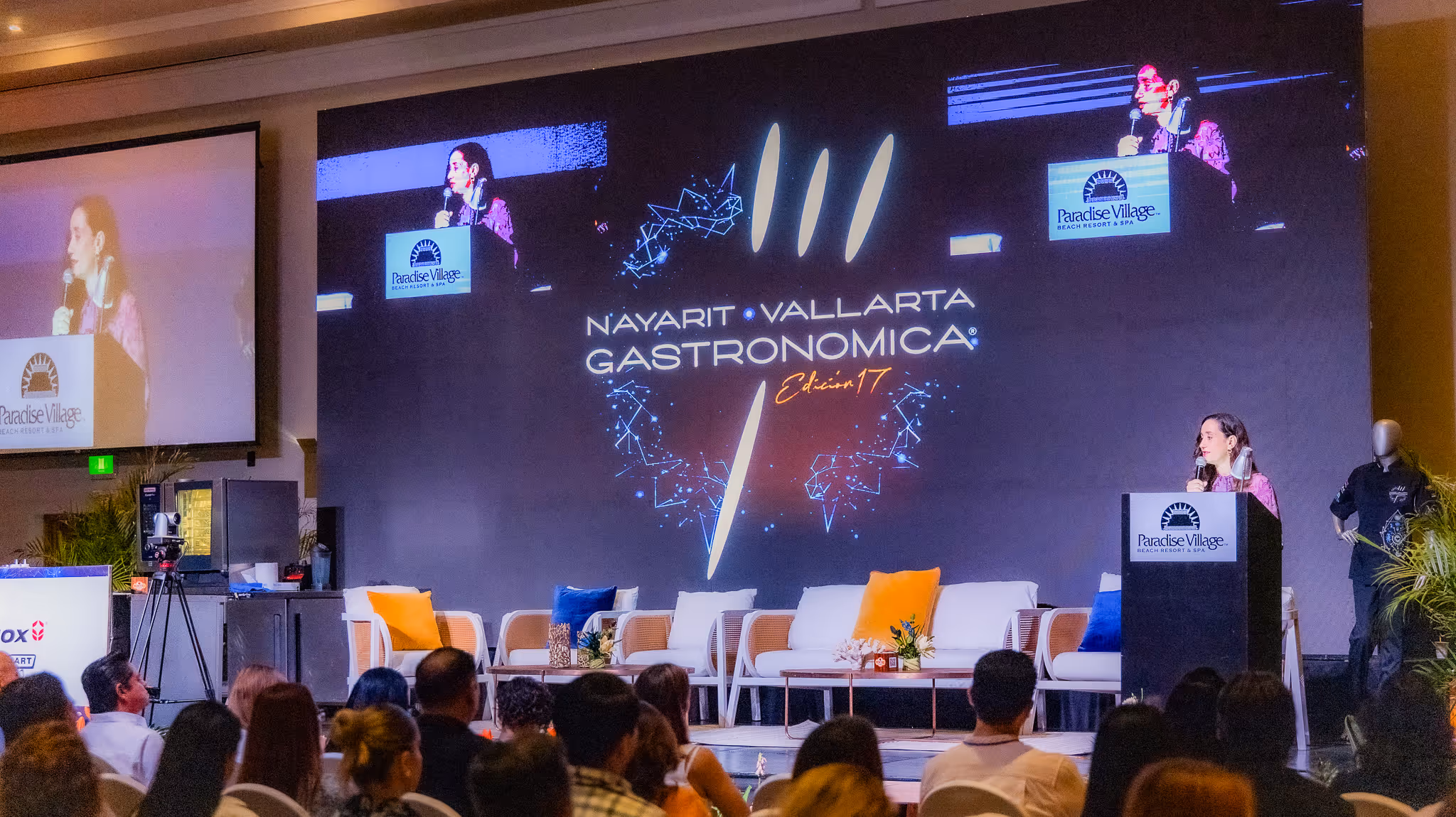 The Baja California constellation that illuminated Puerto Vallarta