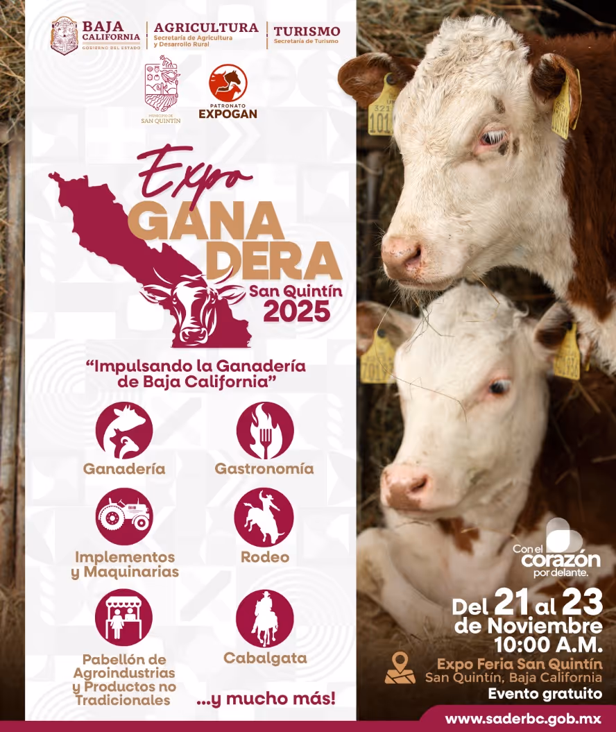 Chica relajada en un Spa Turístico. Rosarito, Baja California