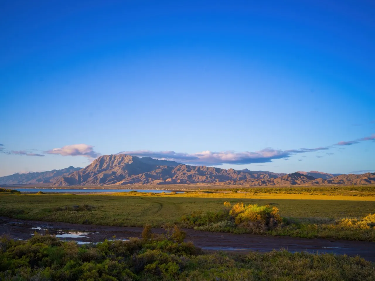Navidad entre el Mar y el Campo: San Quintín, el Secreto Natural del Invierno en Baja California
