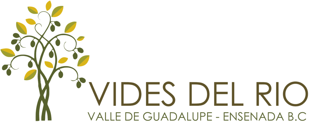 VIDES DEL RÍO SUITES