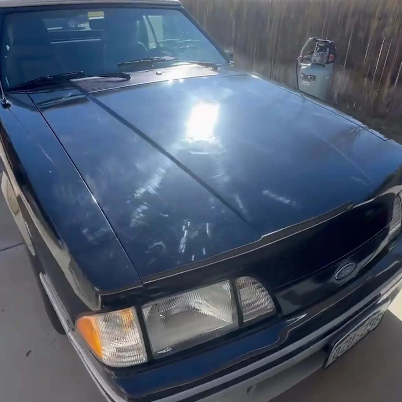 1990 Mustang GT paint correction before detailing