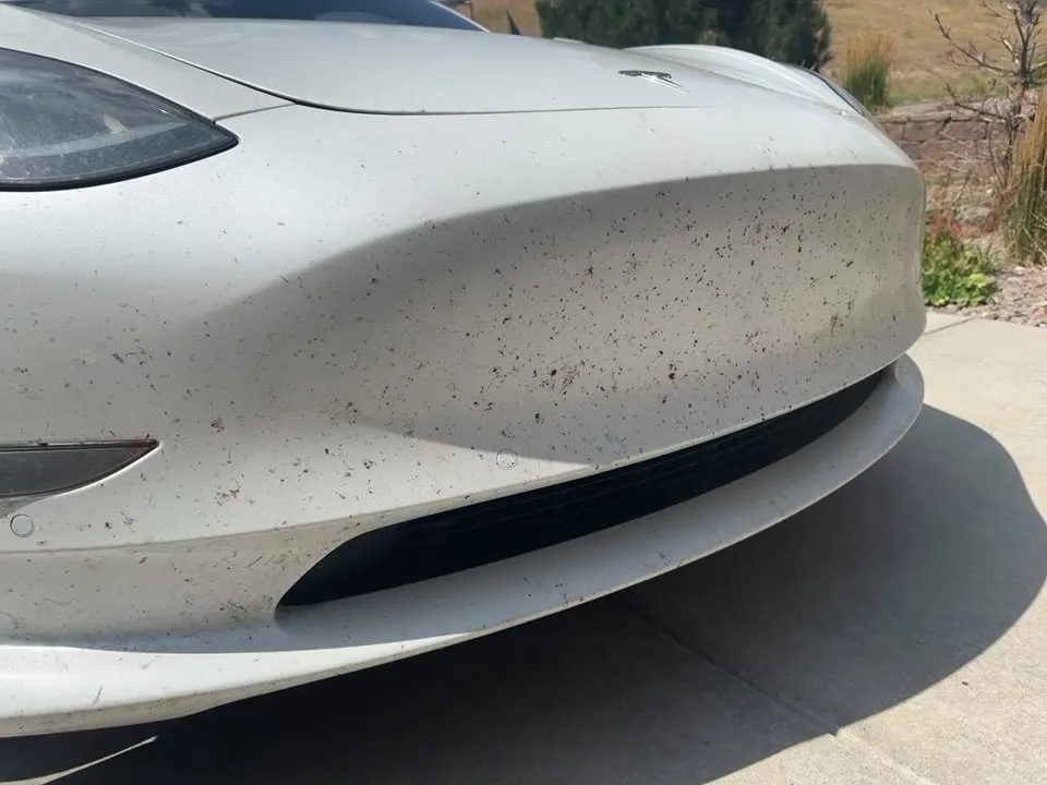 2017 Tesla Model 3 exterior before detailing