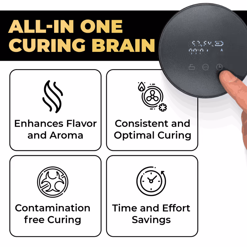 Cure Lids infographics 4 boxes