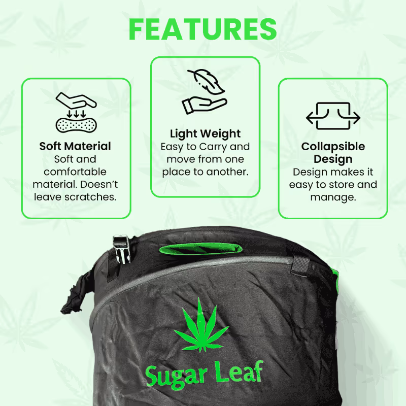 Sugar leaf bag Infographics