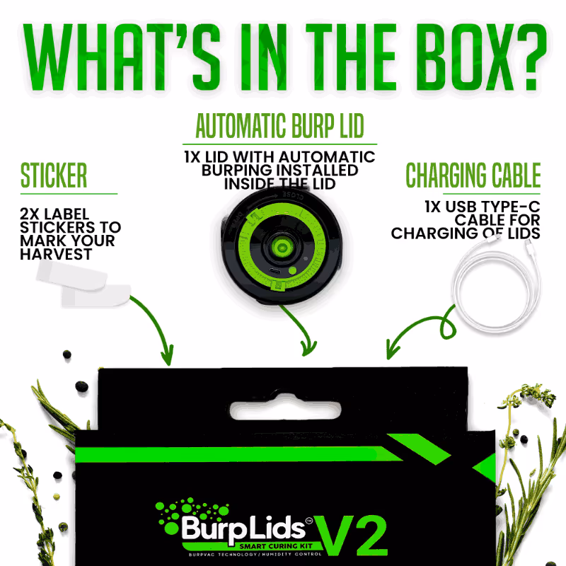 Burplids single lid lifestyle creative