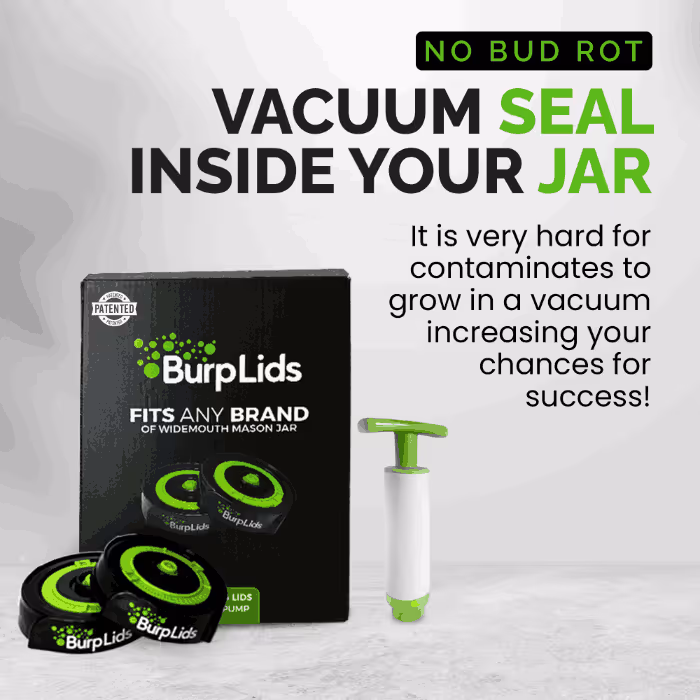 Burplids lifestyle creative lids