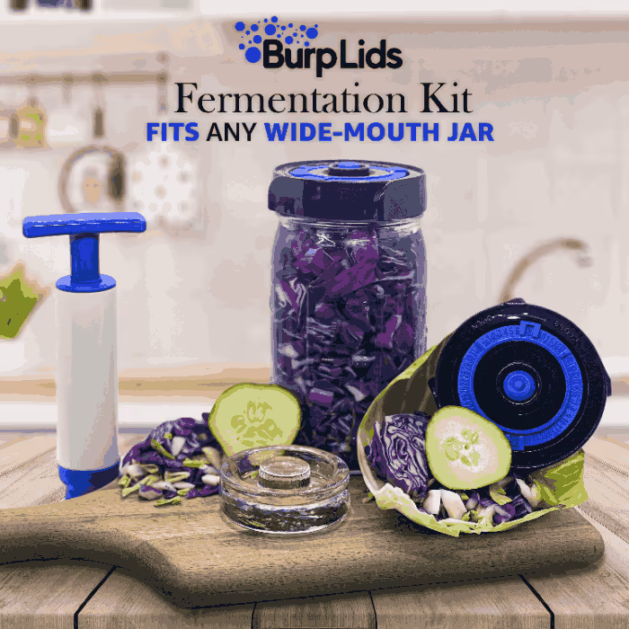 burplids fermentation kit lifestyle