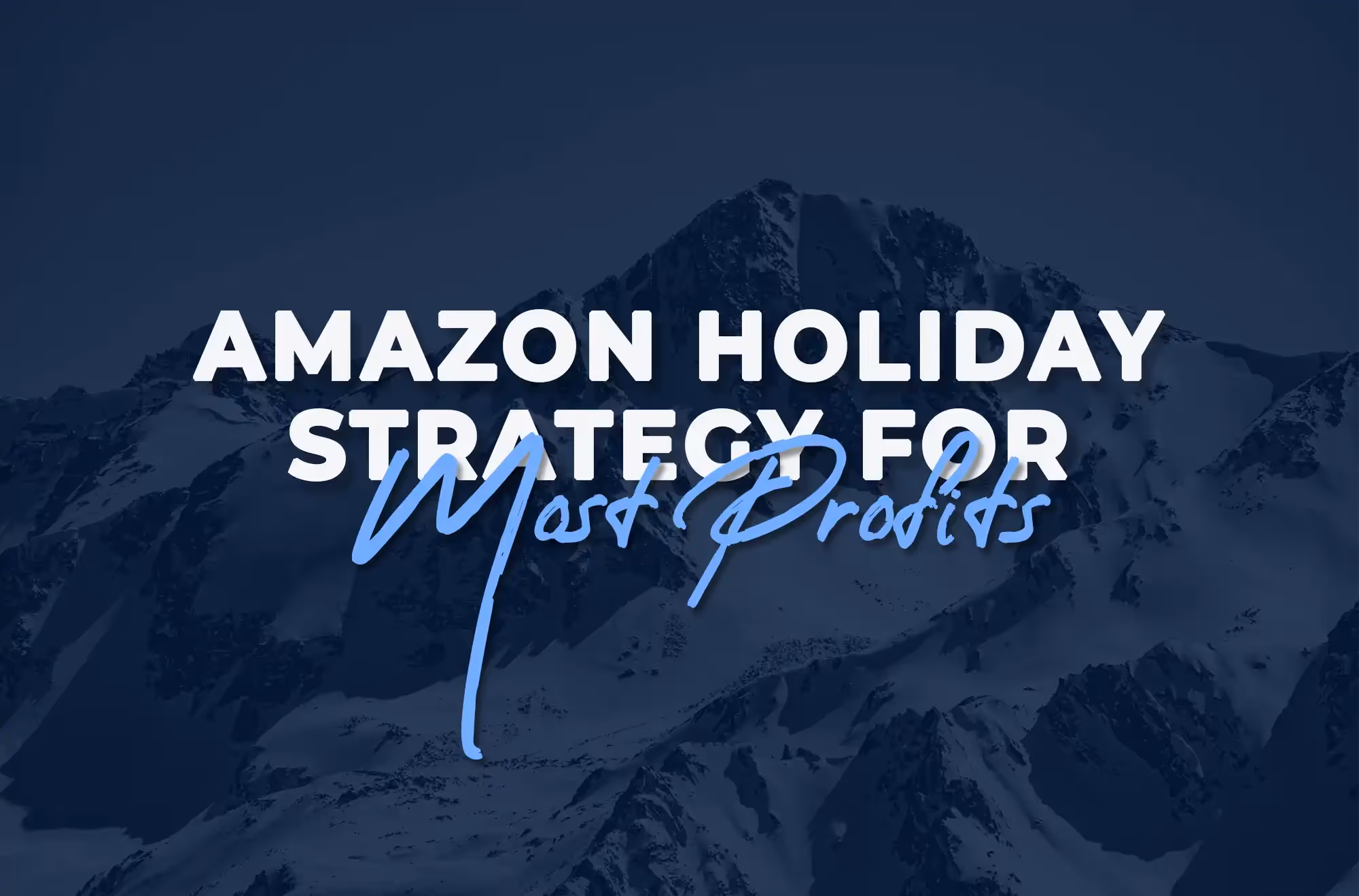 Amazon Holiday Strategy to get most out Profits