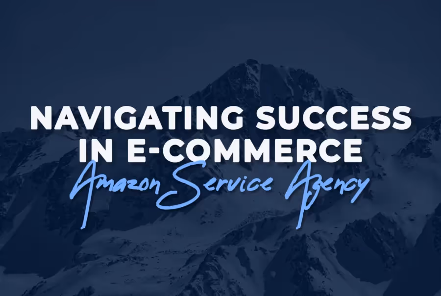 Amazon Service Agency Success in E Commerce
