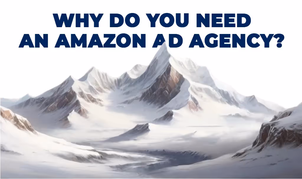 Why you need amazon ad agency