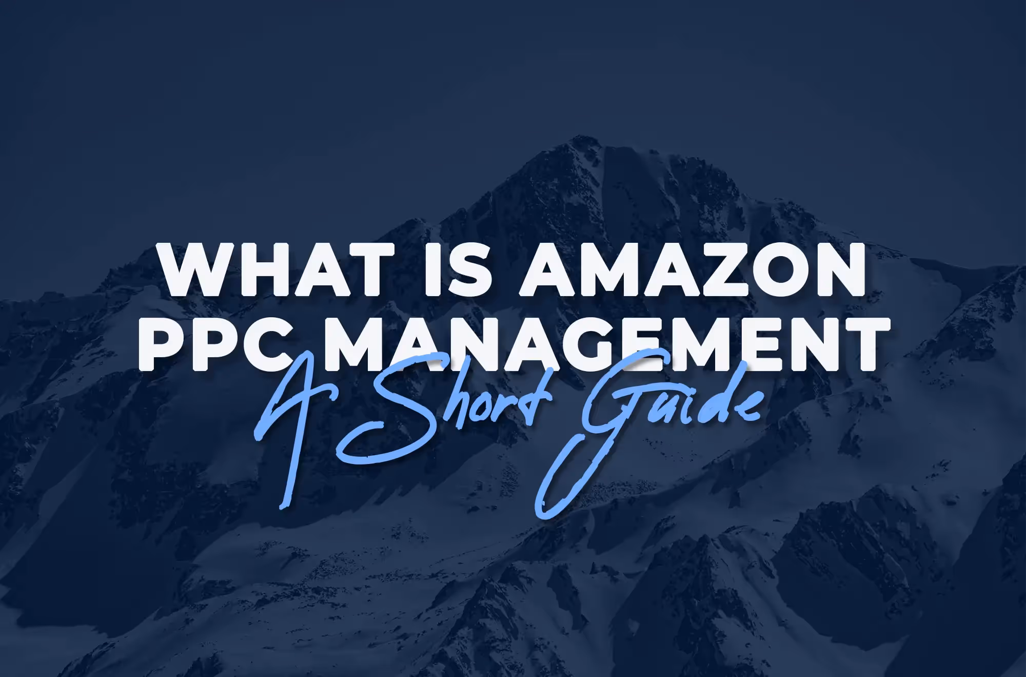 Amazon PPC Management a Complete Guide 