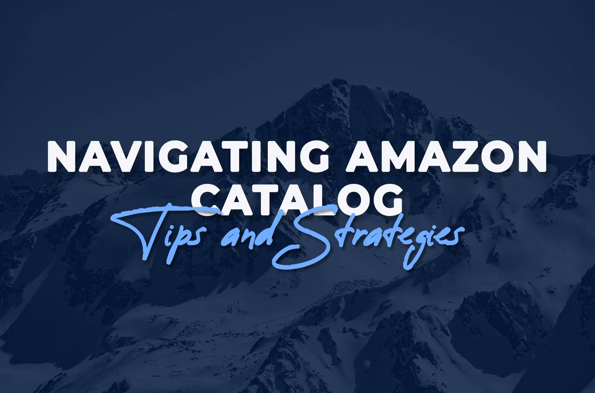 Amazon Catalogs Tips and Strategies