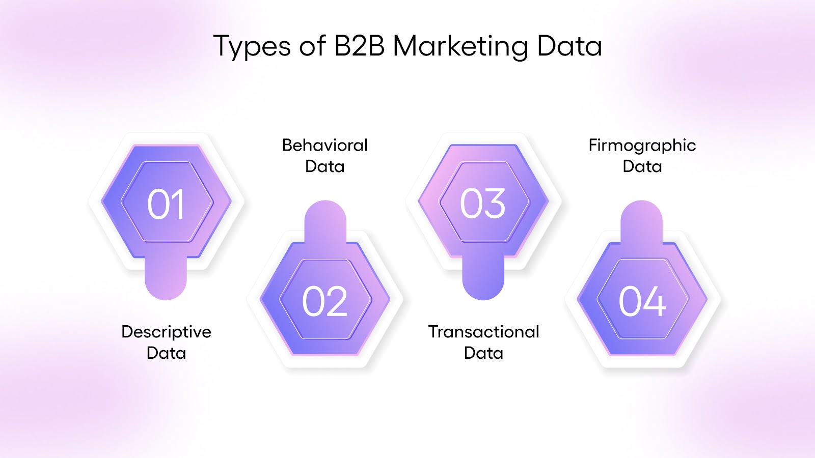 Types of B2B Marketing Data