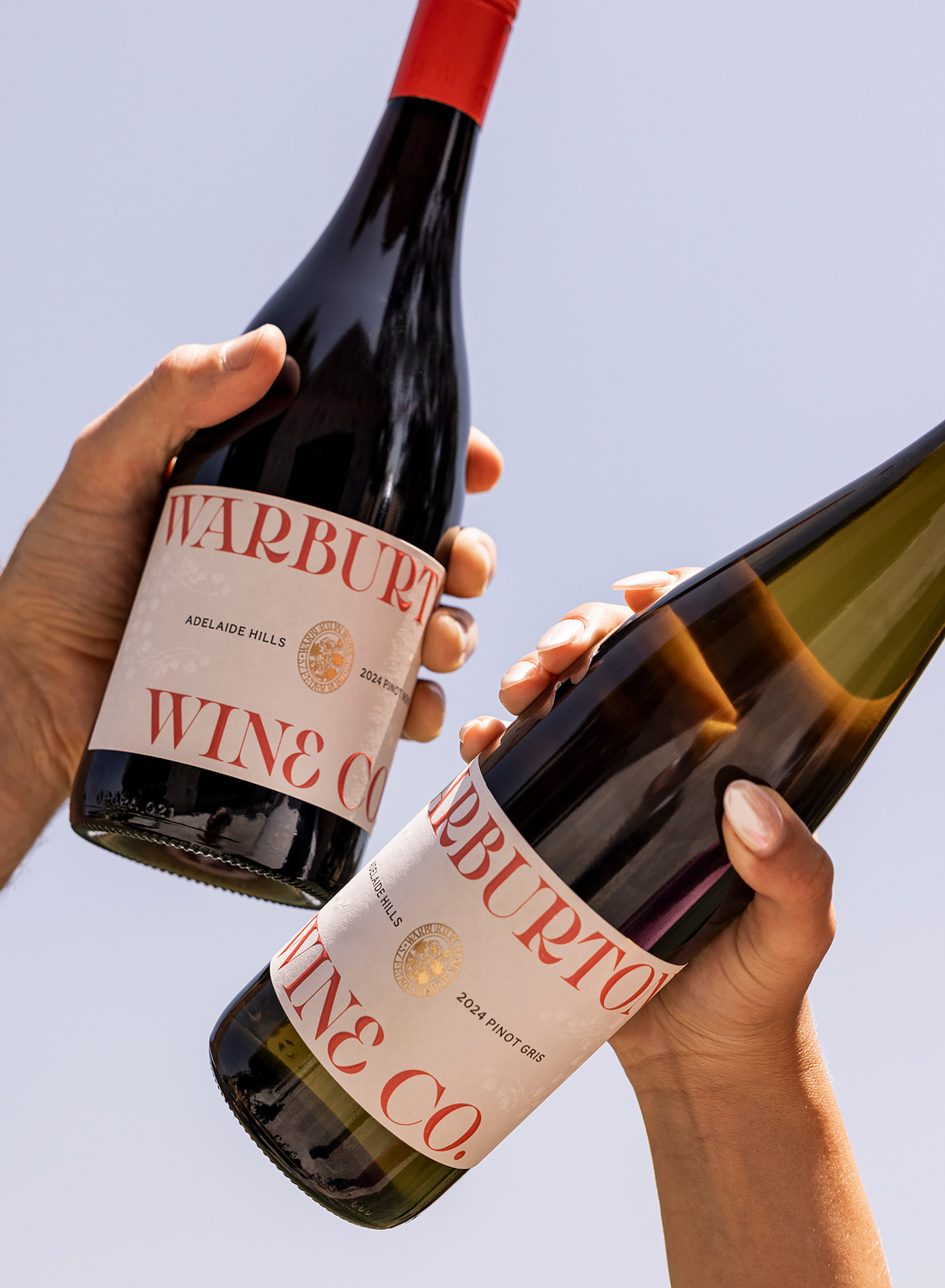 Hands clinking two wine bottles in celebration.