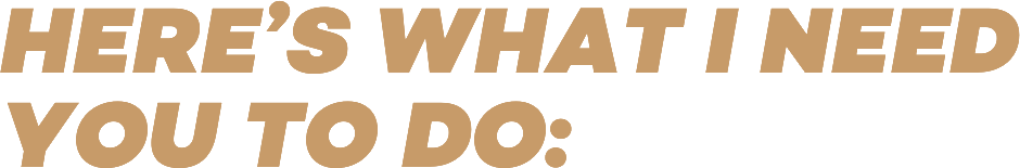 Here's what I need you to do: