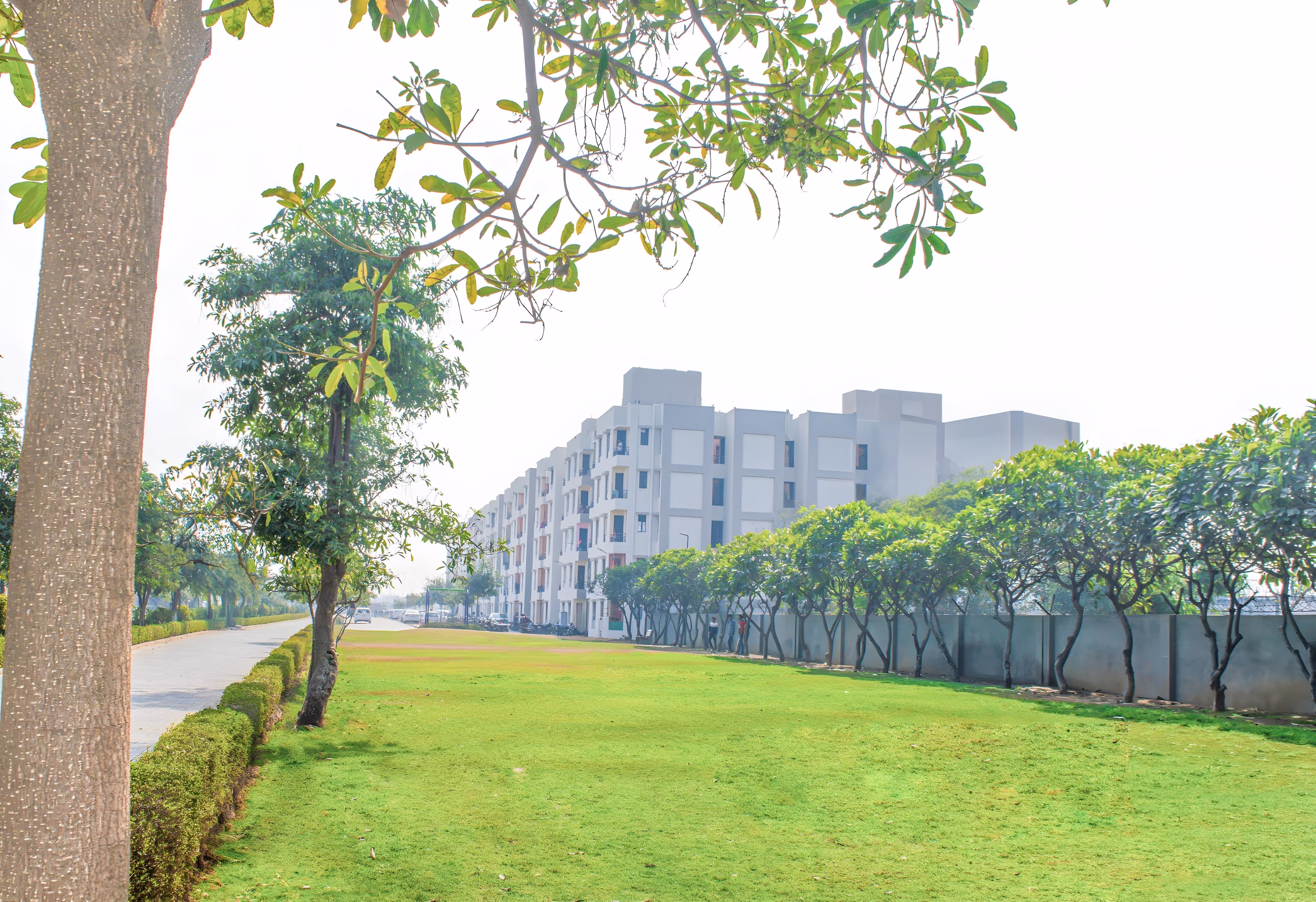 Buildings and greenery