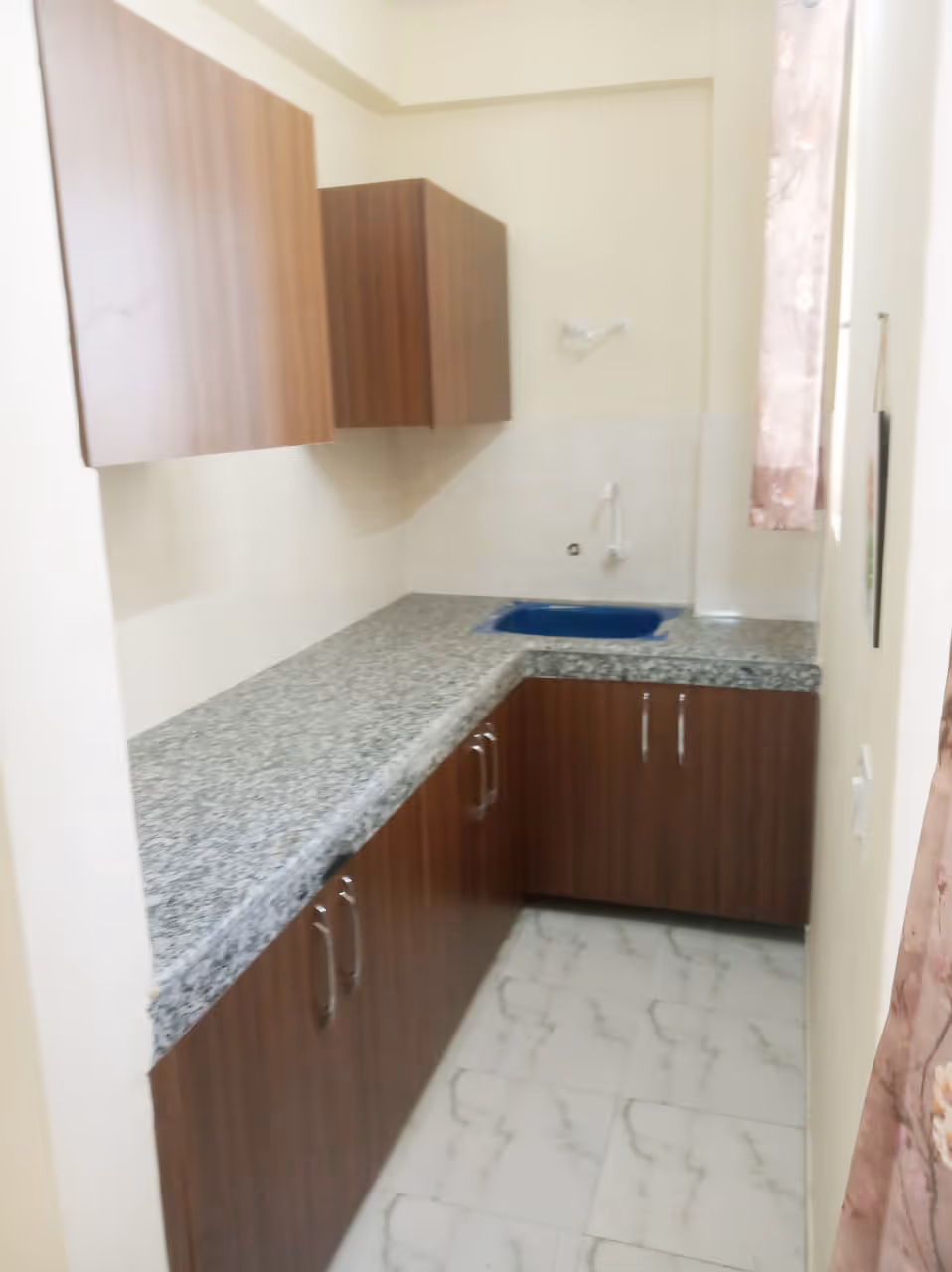 A kitchen with a sink and cabinets in it.