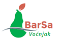 Partner logo Barsa Dev