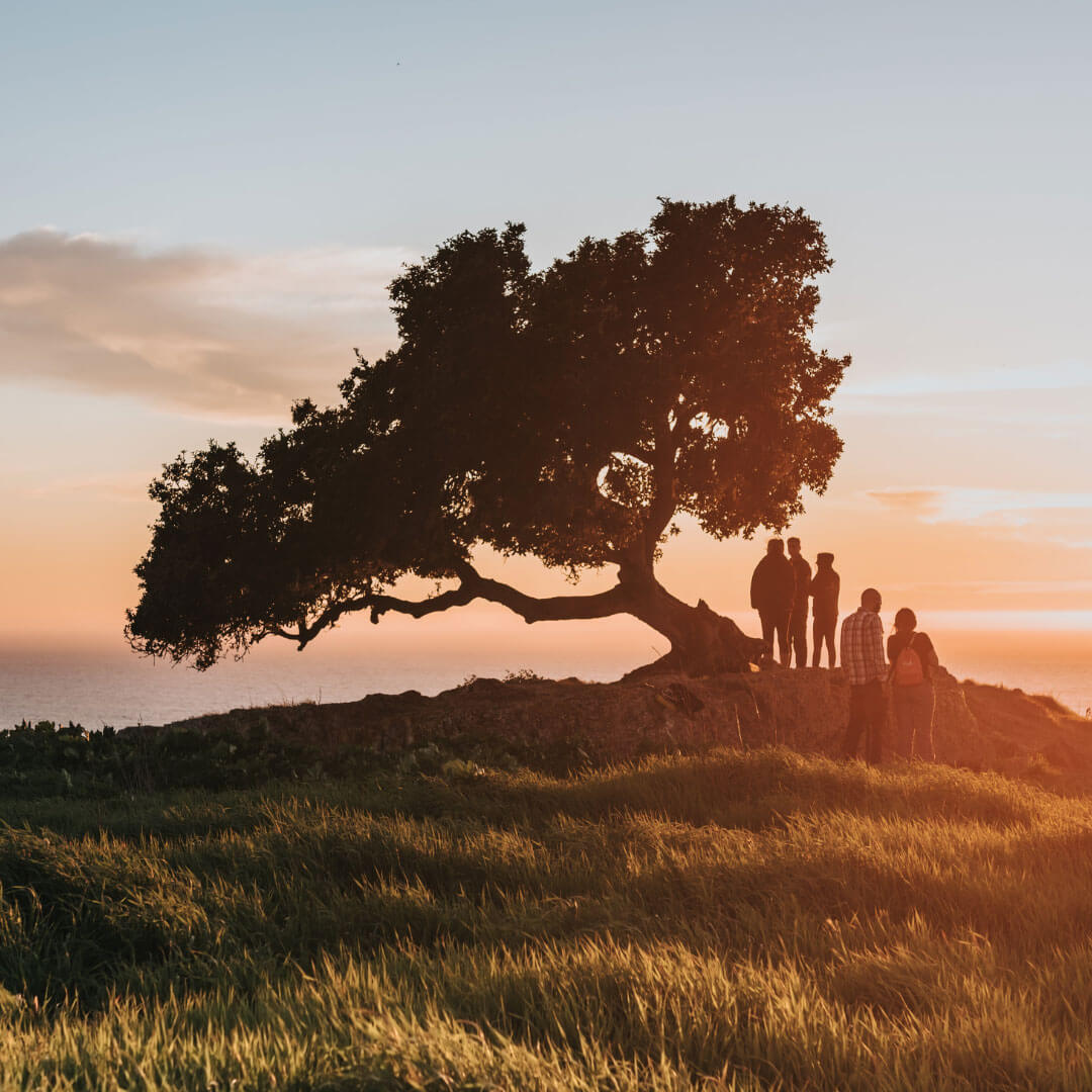 The Becoming Limitless Tribe