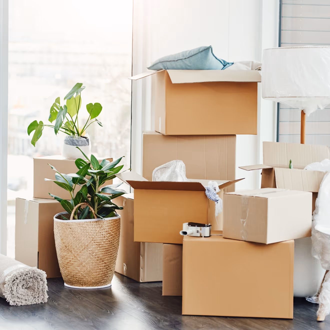 Boxes ready to be moved