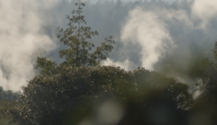 Marsden results demonstrate that photonic and quantum technologies are everywhere