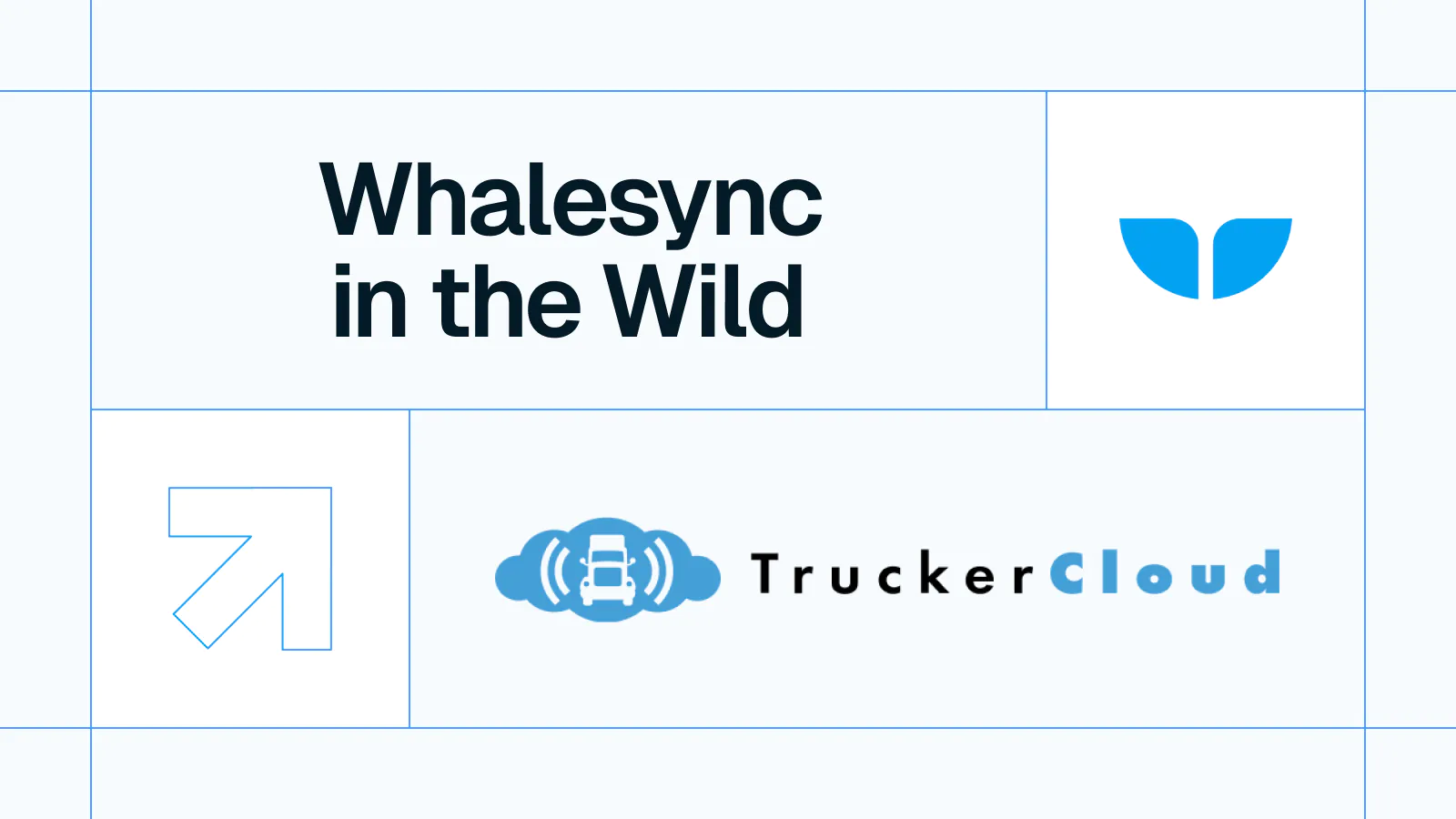 Title card reading 'Whalesync in the Wild' featuring the TruckerCloud logo