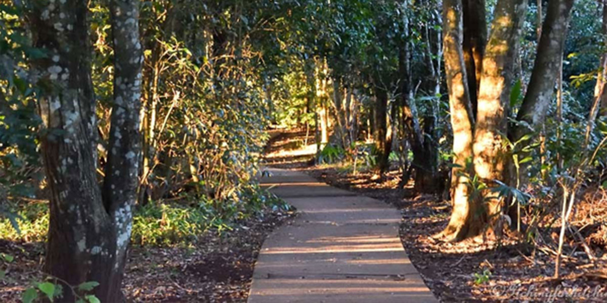 Maleny trail