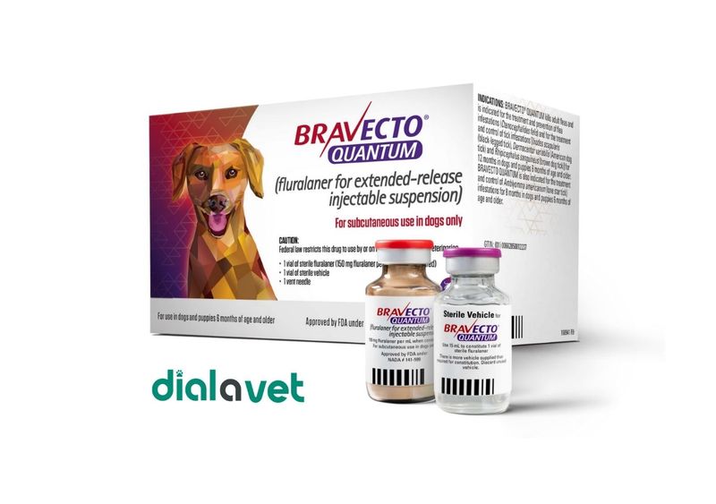 Vet Explains: FDA Approves Bravecto Quantum, the First 12-Month Flea ...