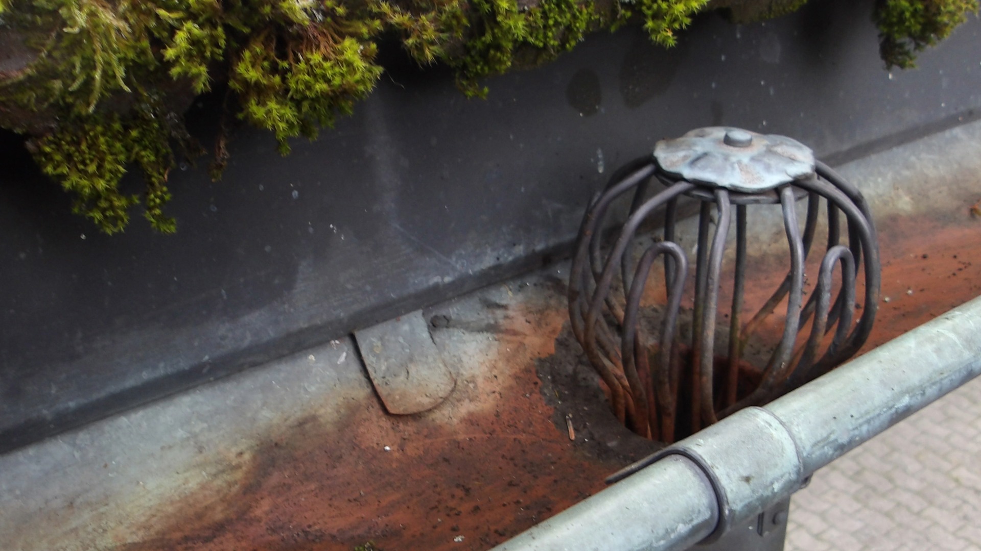 Dachrinnen reinigen: Warum es gerade im Herbst so wichtig ist