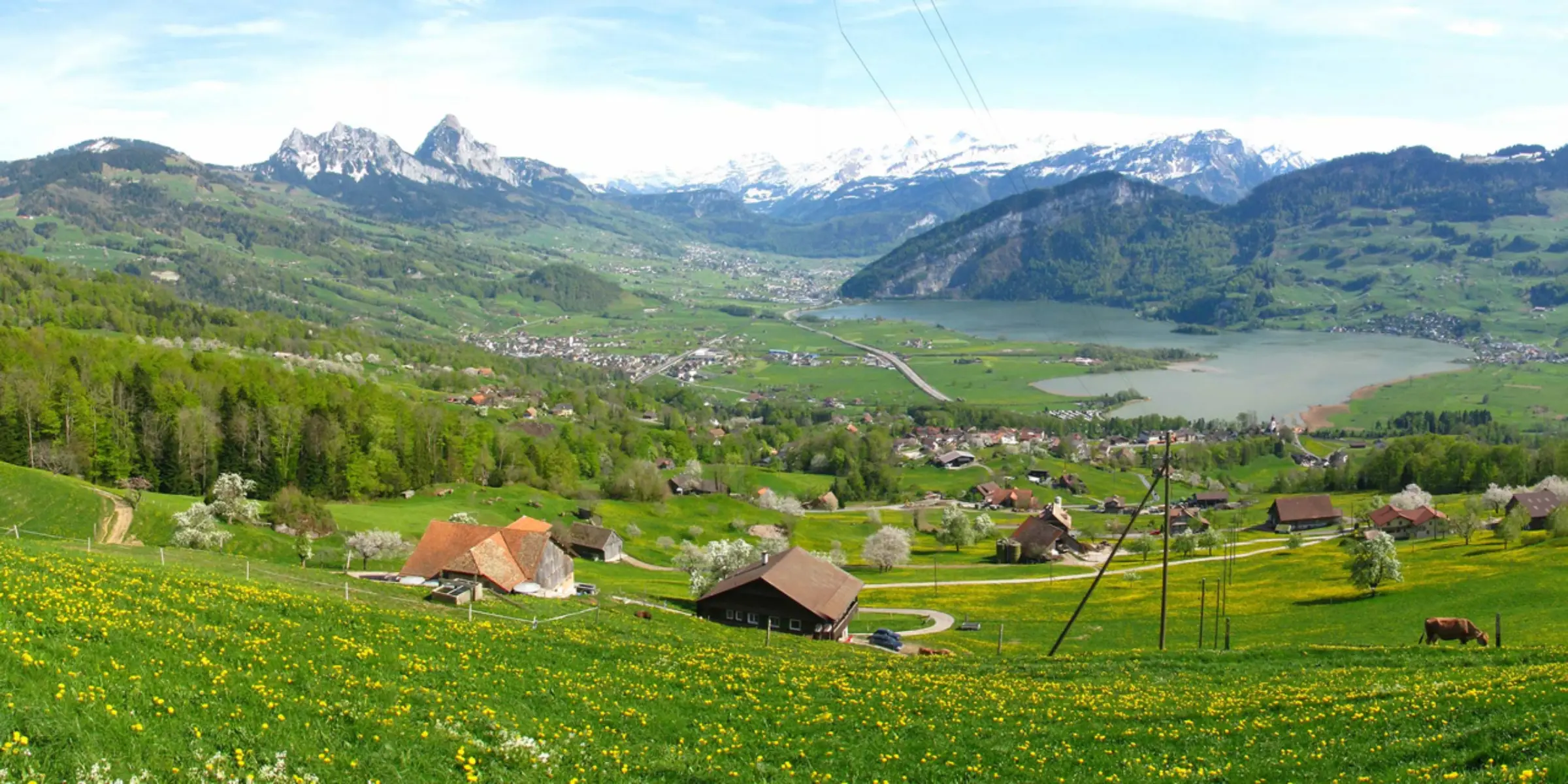 Landschaft Steinerberg