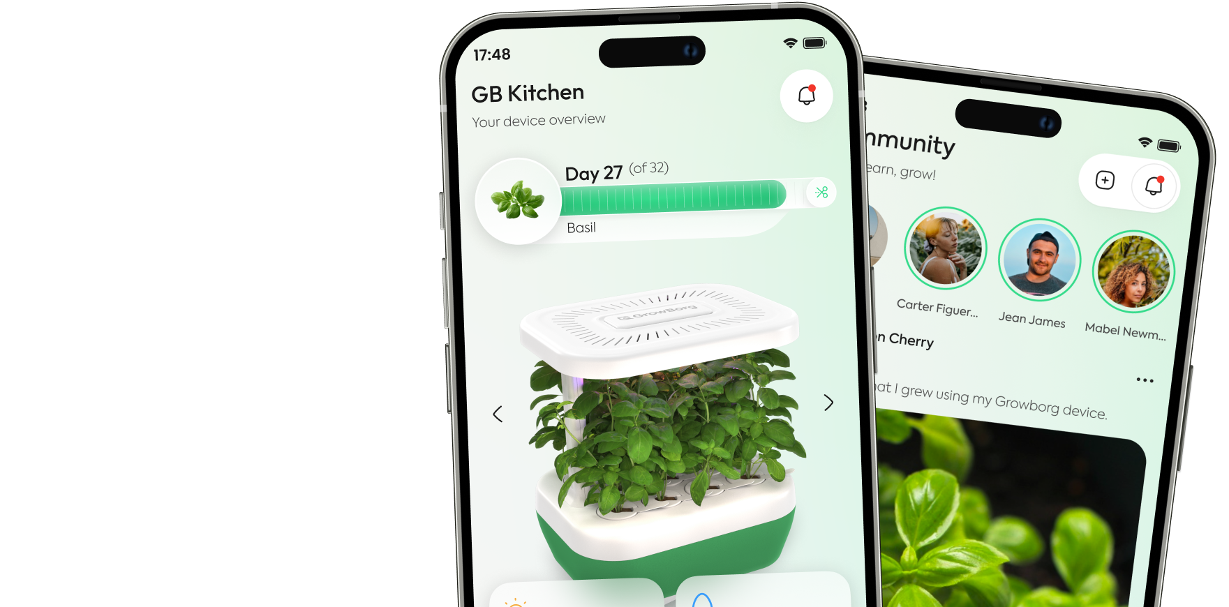 Mockup