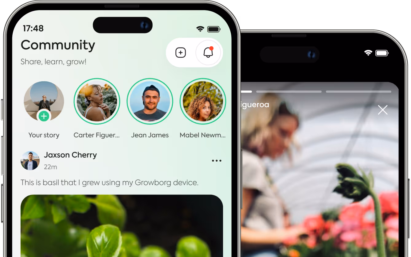 Growborg mobile app, community screen