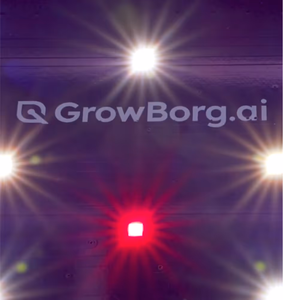 GrowBorg LED lights