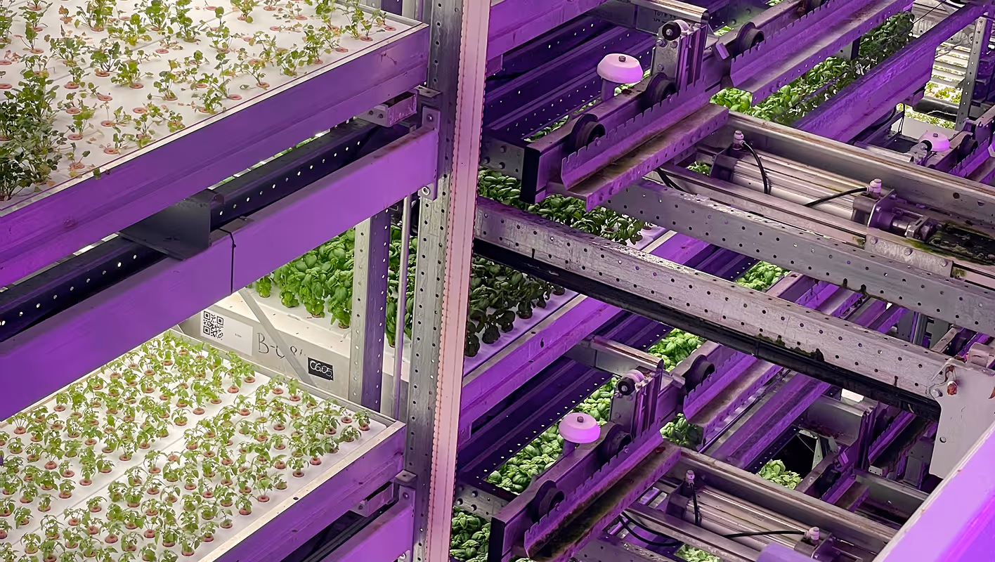 Vertical farm in Niederhasli