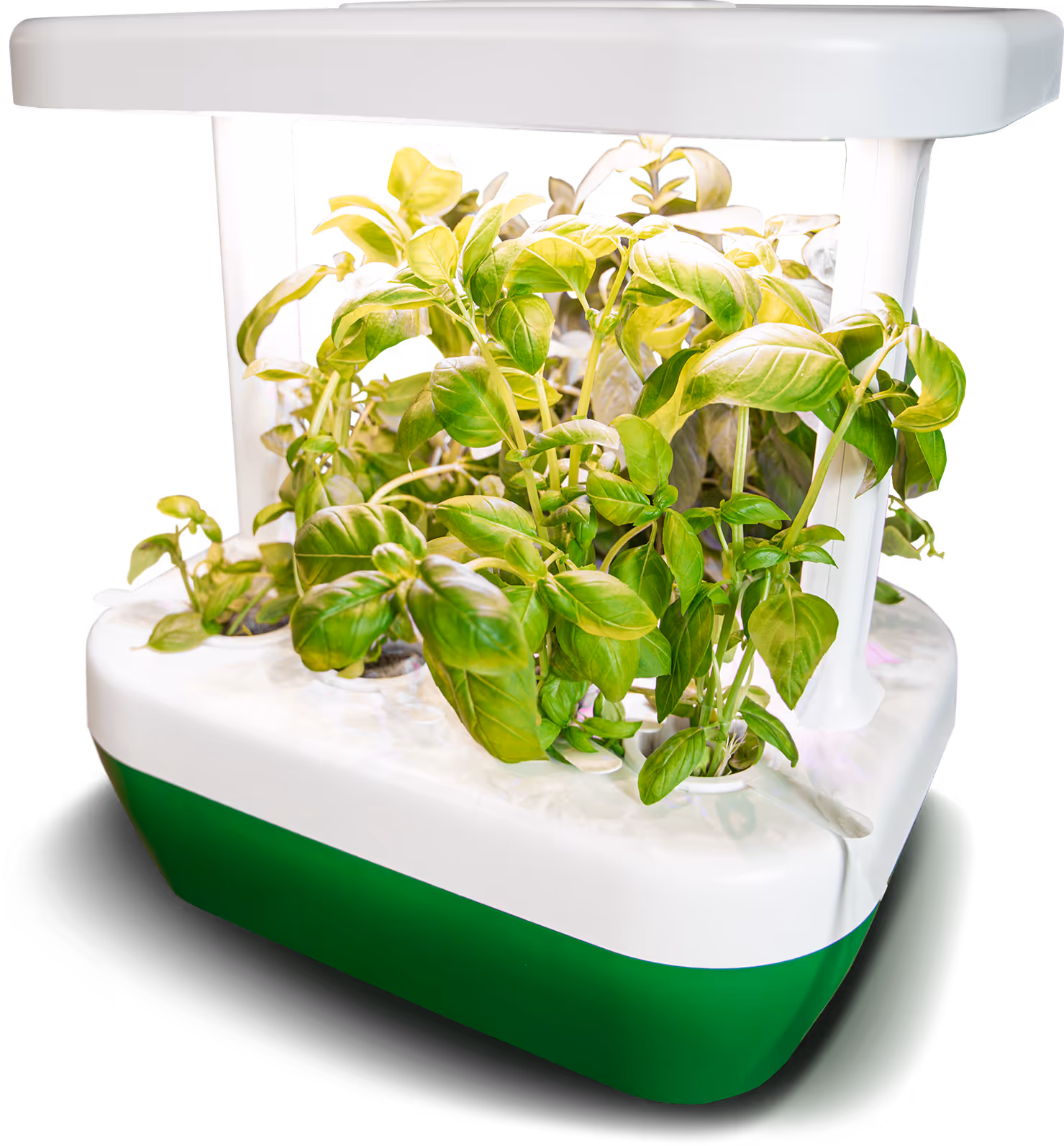 Growborg product