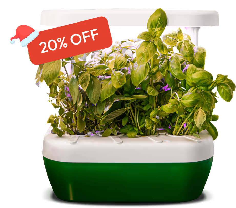 GrowBorg model with sale