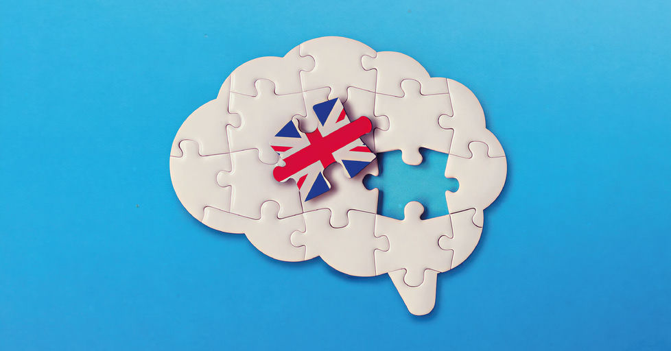 Neurociencia y Bilingüismo en Niños: Desarrollo Cognitivo Potenciado con Universal Kids