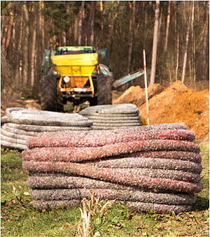 A large pile of logs in a forest.