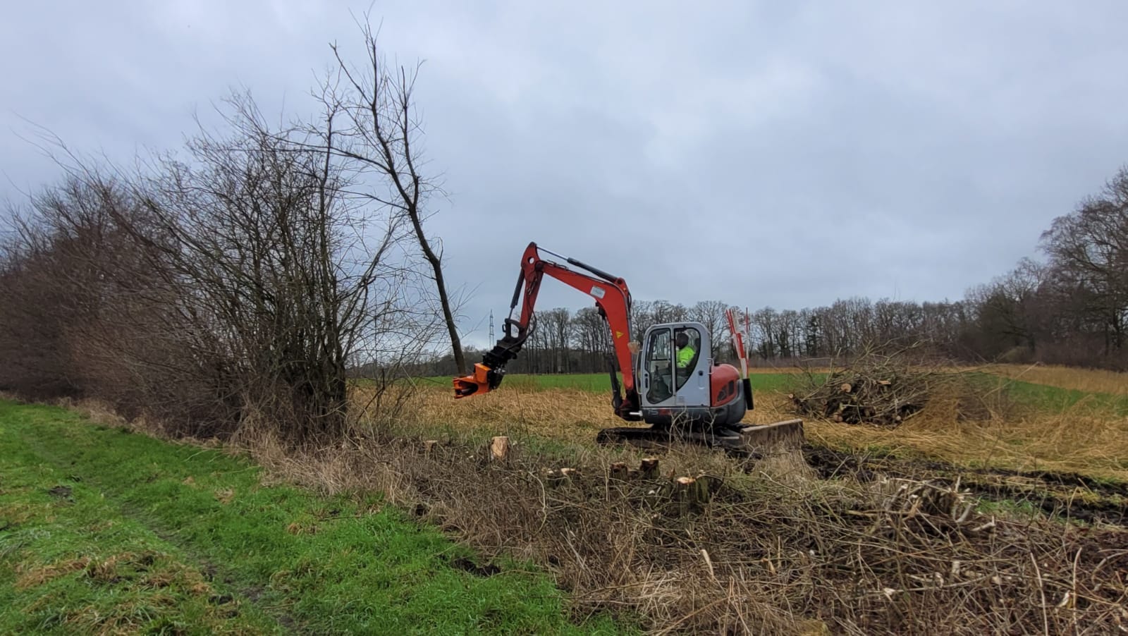 A large orange and black machine is cutting down a tree.