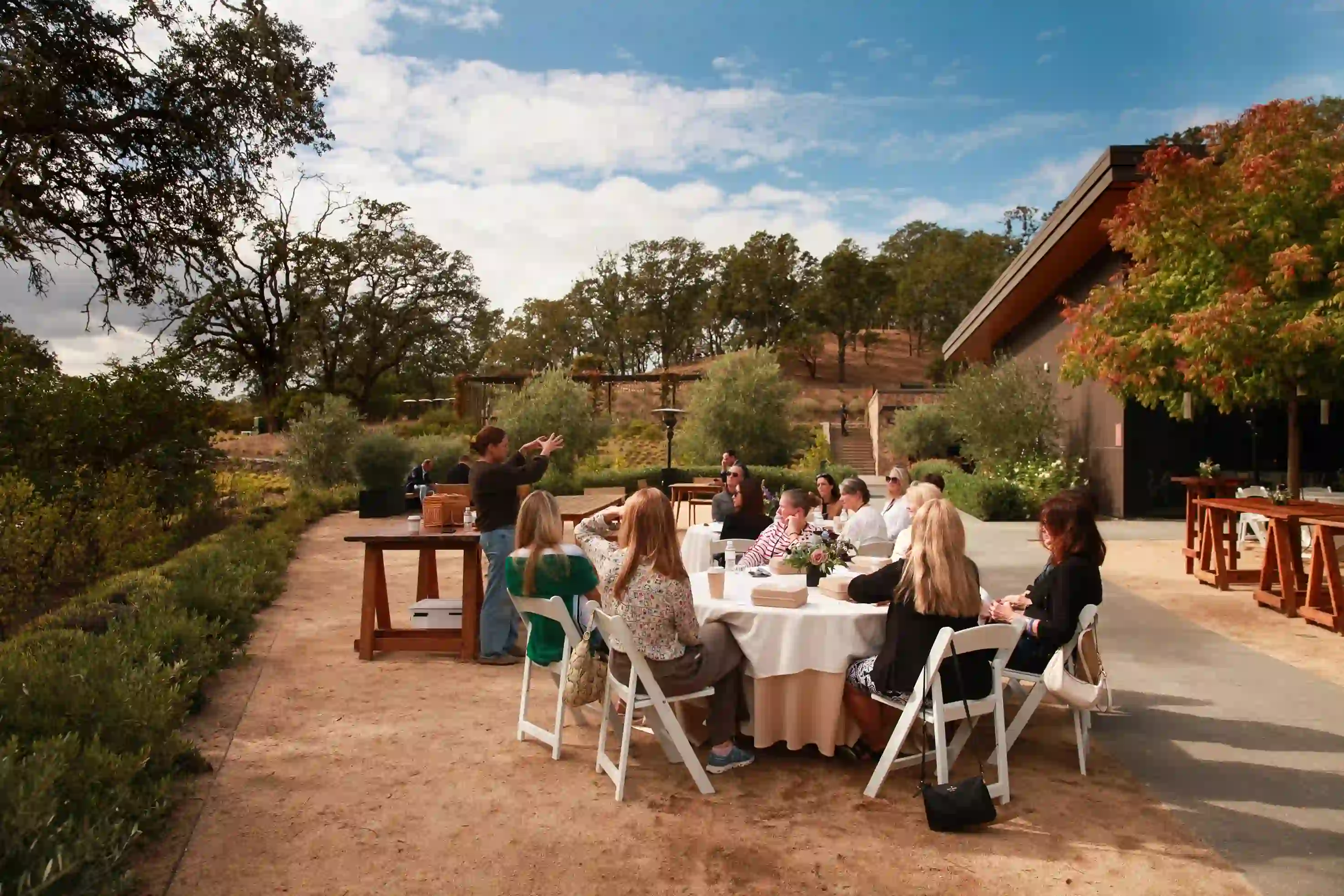 outdoor-dining-vineyard.webp
