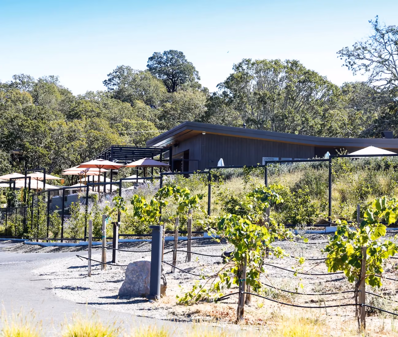 Image of winery with green trees in the background, tents to cover the sun