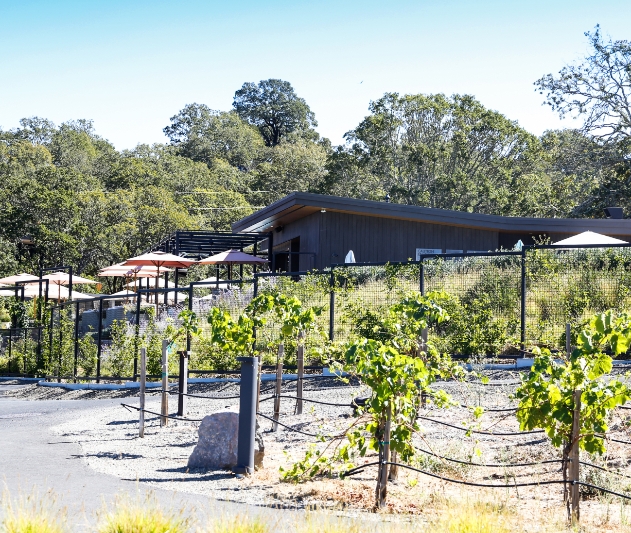 Image of winery with green trees in the background, tents to cover the sun