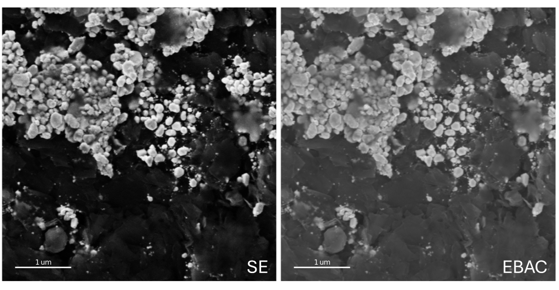 A close-up of a microscopeDescription automatically generated