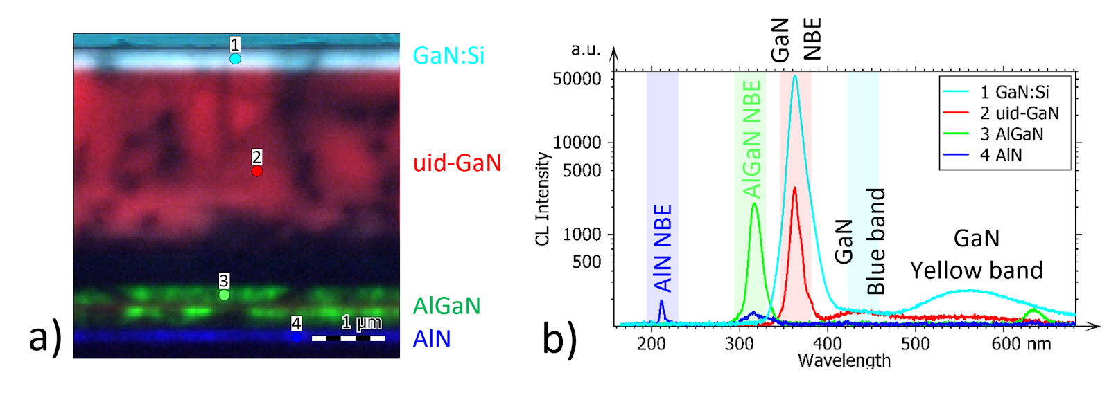 A close-up of a graphDescription automatically generated