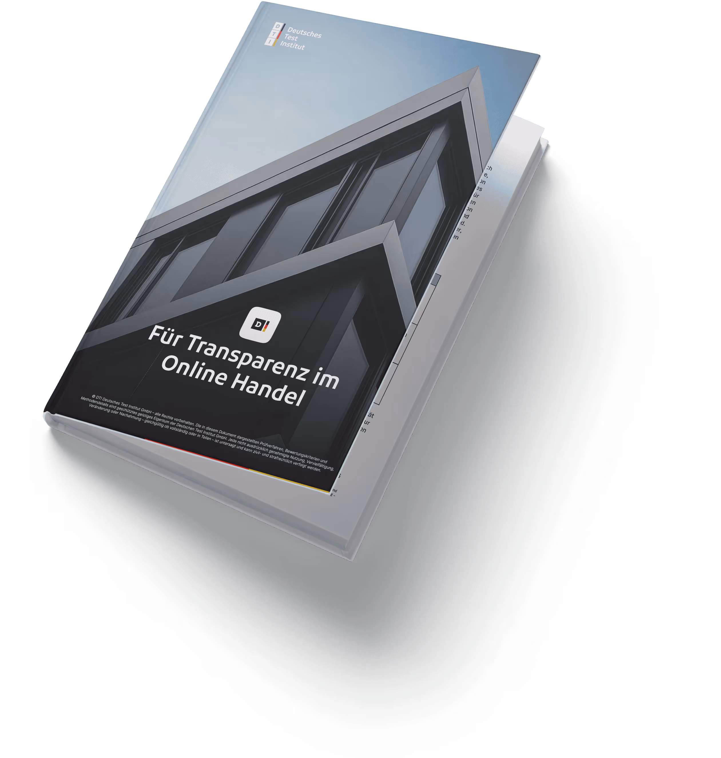 DTI Prüfverfahren Cover Buch